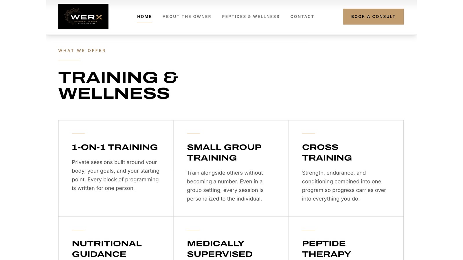 The Werx Personal Training website: the Training & Wellness section.